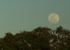 Filename=fullmoon040512b.jpg
Filesize=212KB
Dimensions=624x449
Date added=Apr 06, 2012 fullmoon040512b.jpg